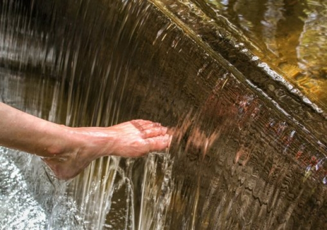 艾葉泡腳的方法-用艾草泡腳時，要記住禁忌哪些，很多人不懂，總是泡錯？